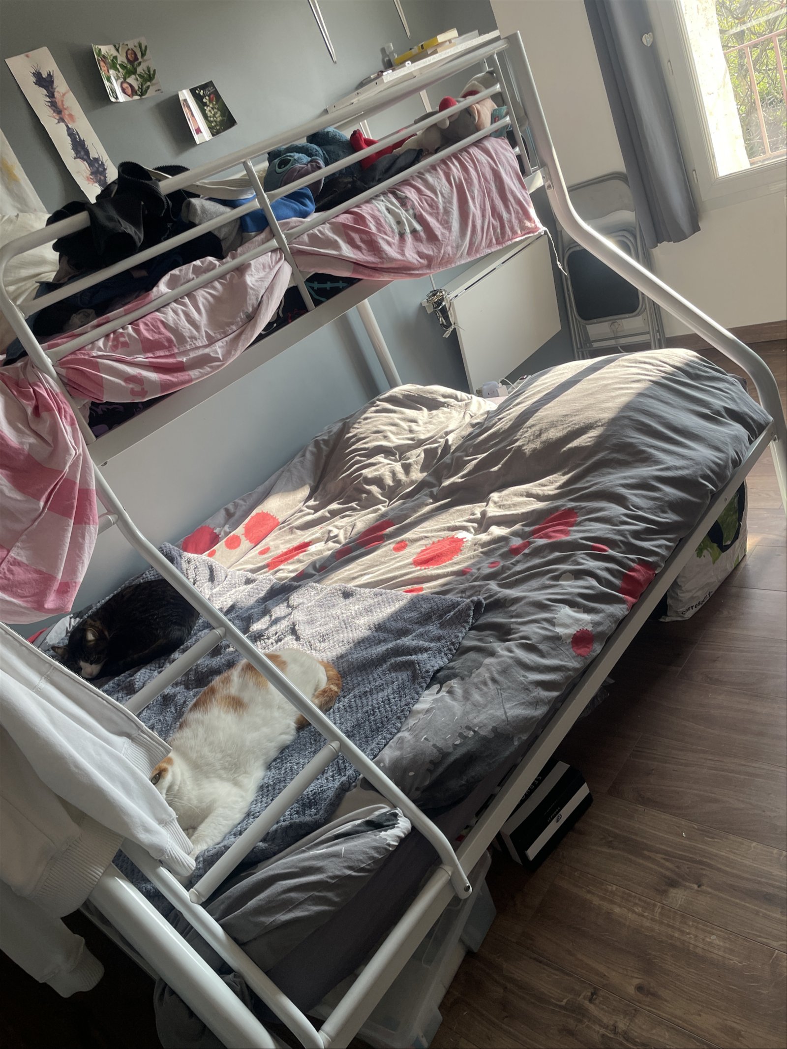 Gastgezin Pierrelaye 347893