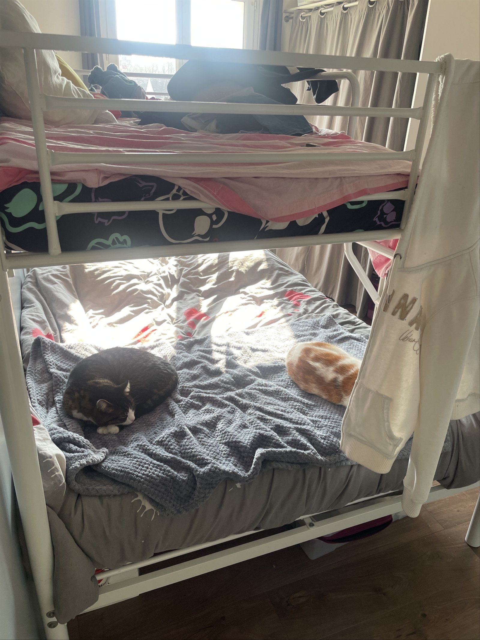 Gastgezin Pierrelaye 347893