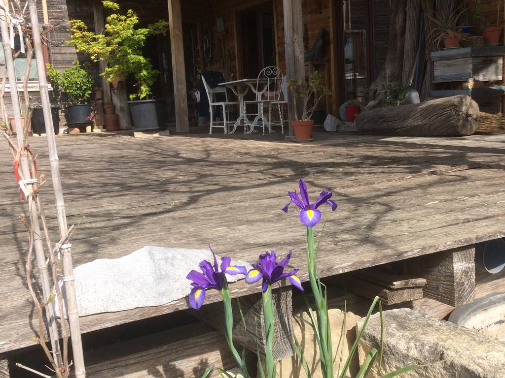 Homestay Saint-Just-et-Vacquières 331450-1