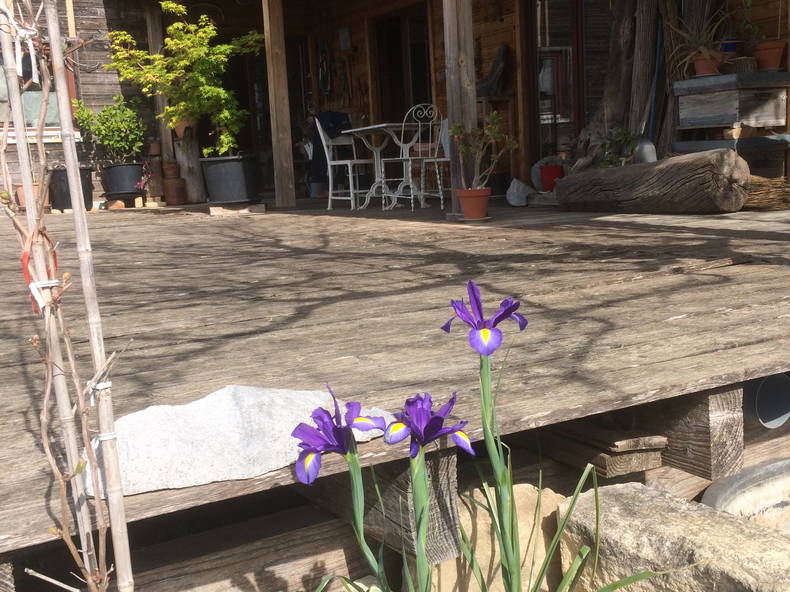 Gastfamilie Saint-Just-et-Vacquières 331450-2