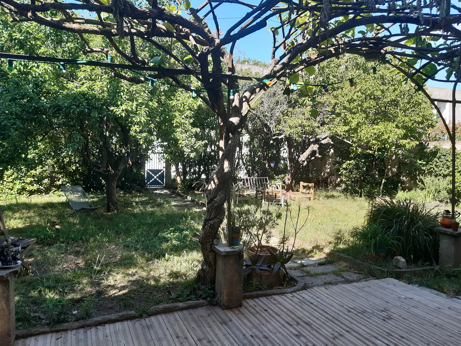 Chambre Chez L'habitant Nîmes 309398
