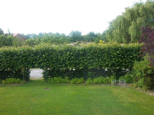 Zakwaterowanie U Rodziny Coudekerque-Branche 25868-4