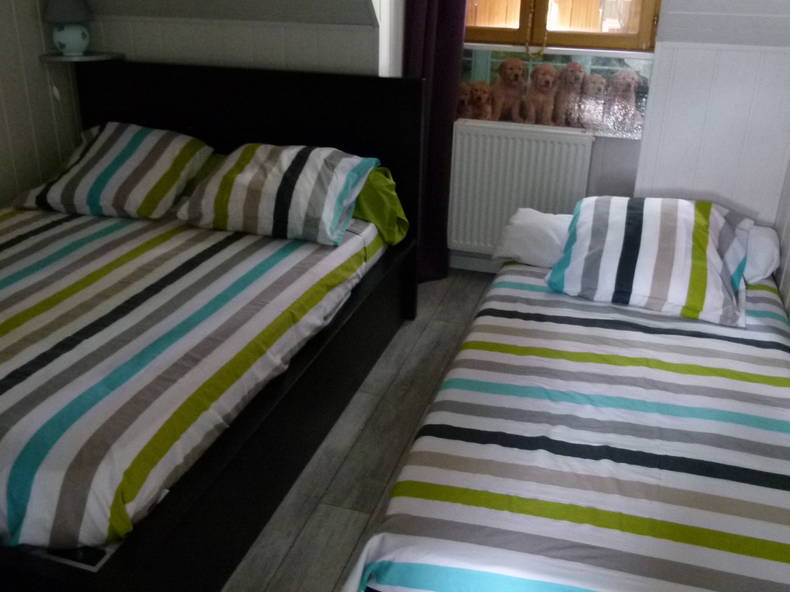 Chambre Chez L'habitant Lamotte-Beuvron 254525-3