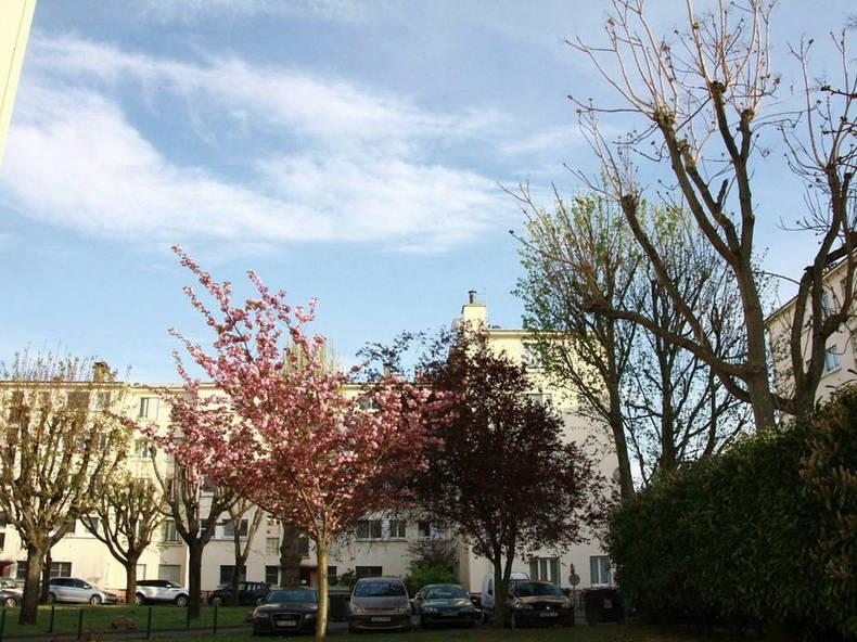 Entire Home La Courneuve 249842-1