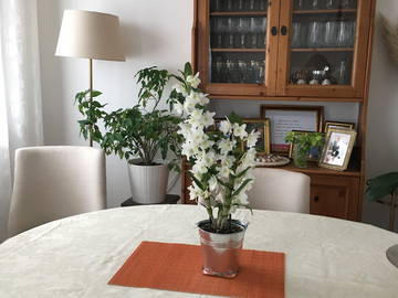 Quedarse En Casa Ferrières-En-Gâtinais 633839-2