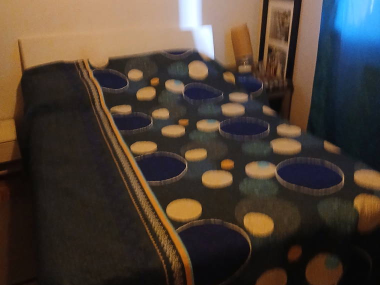 Chambre Chez L'habitant Vaulx-en-Velin 612888