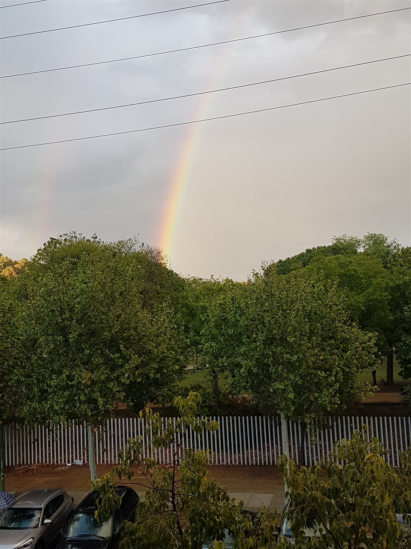 Chambre Chez L'habitant Sevilla 115750