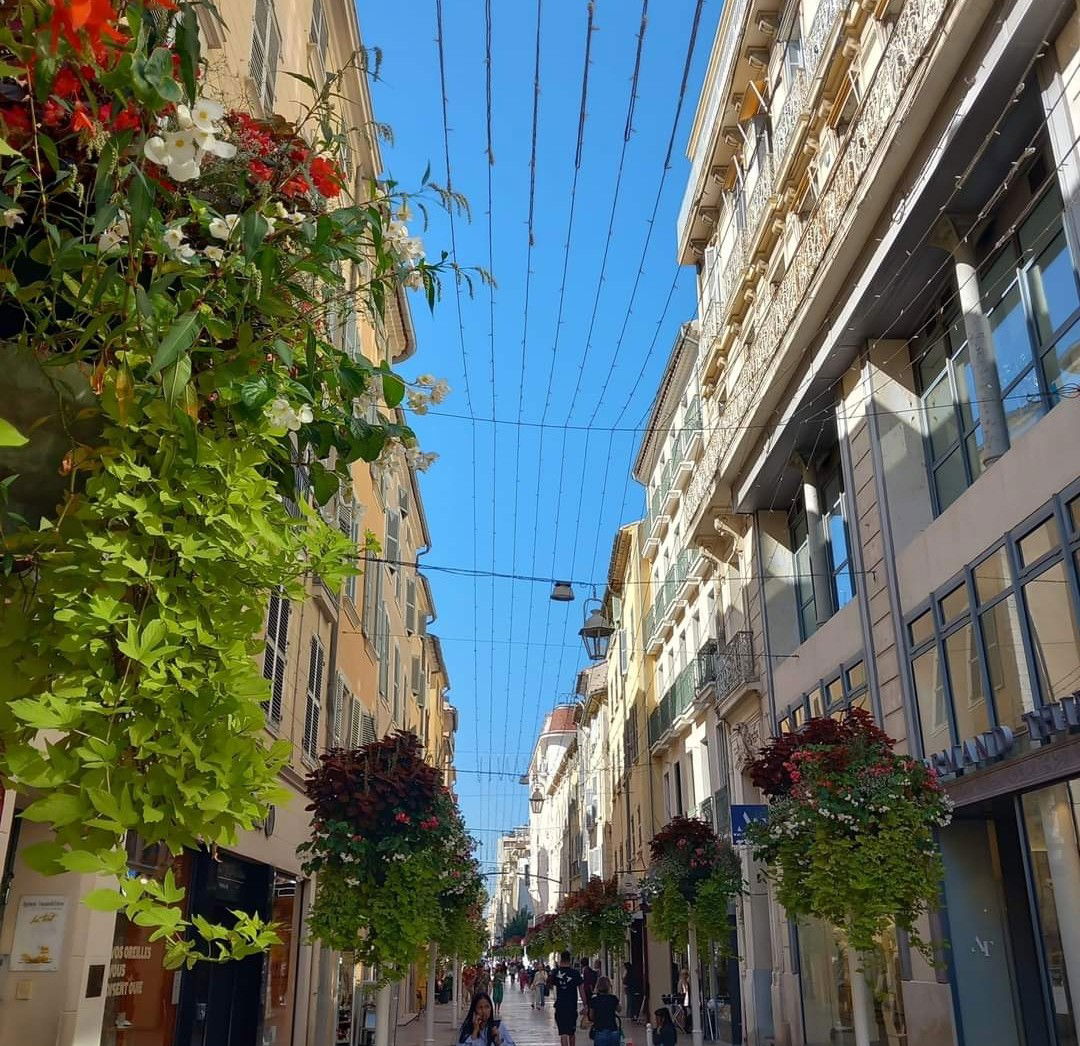 Homestay Toulon 578444