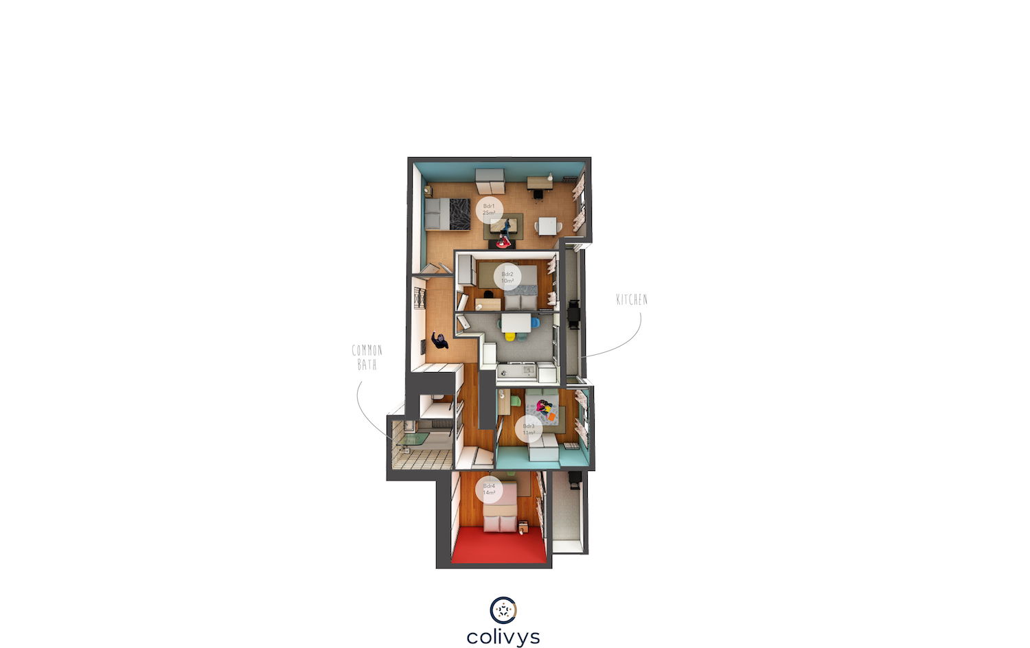 Colocation Grenoble 264768