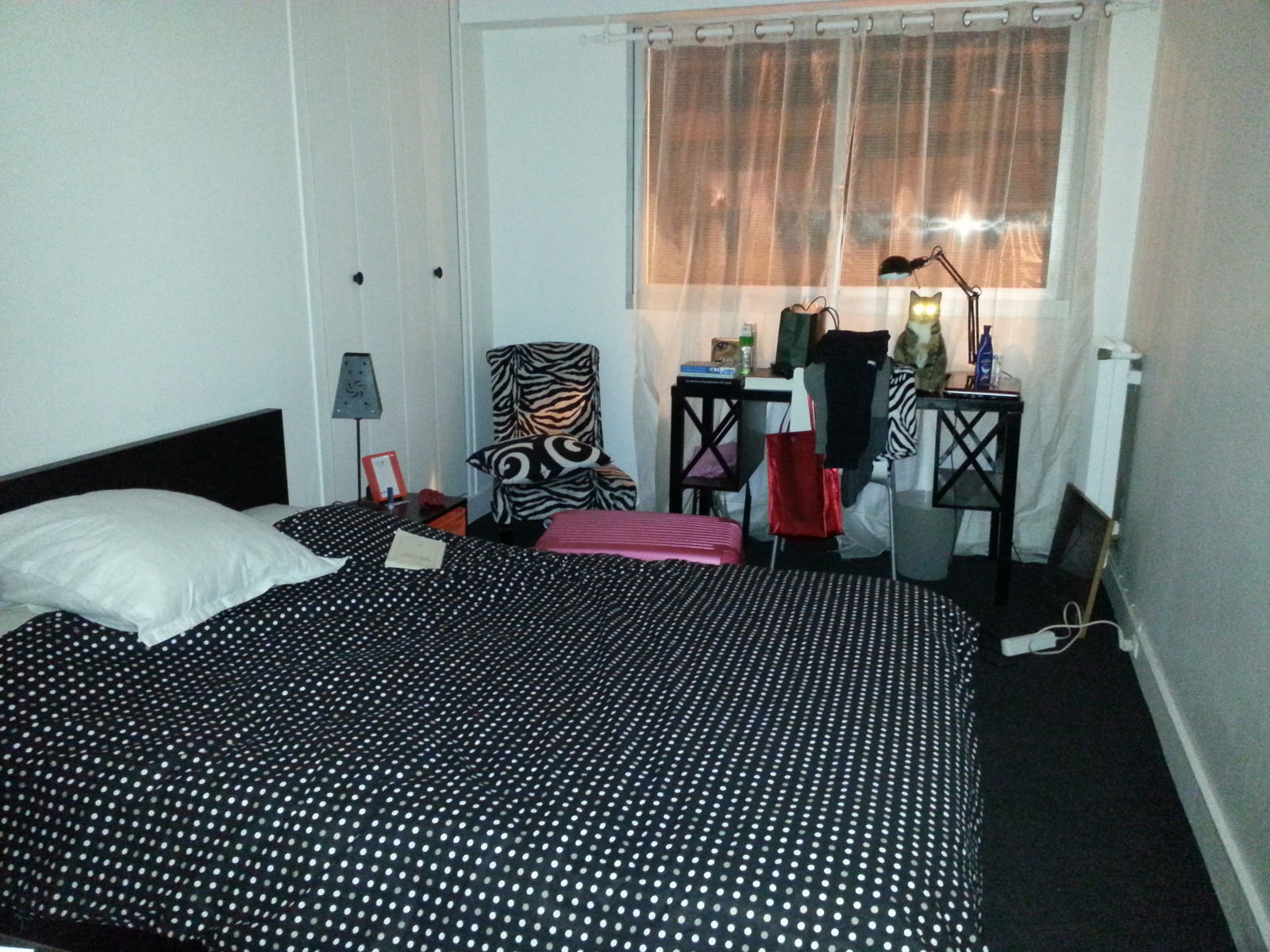 Homestay Paris 76816