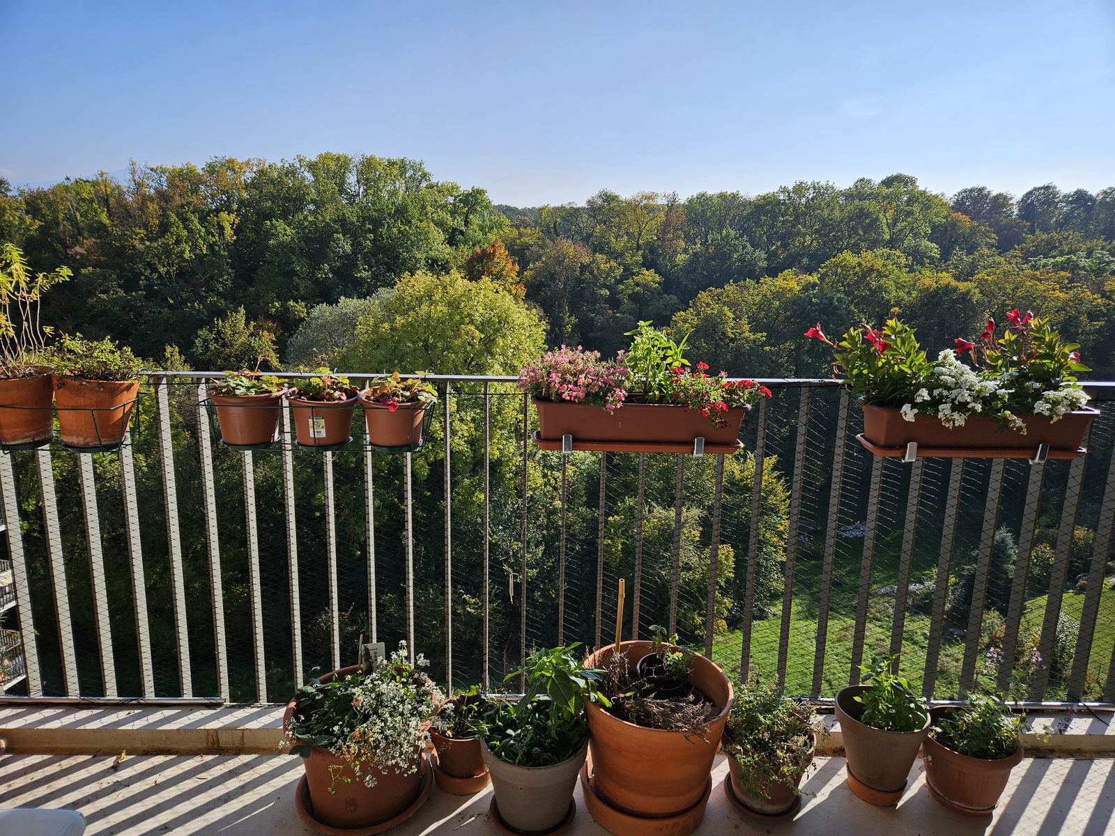 Homestay Nyon 630318