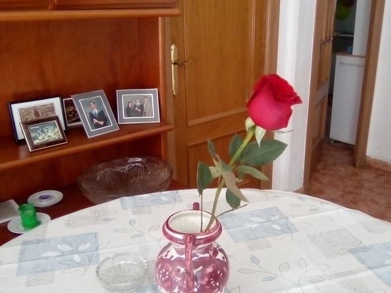 Homestay València 267575-5