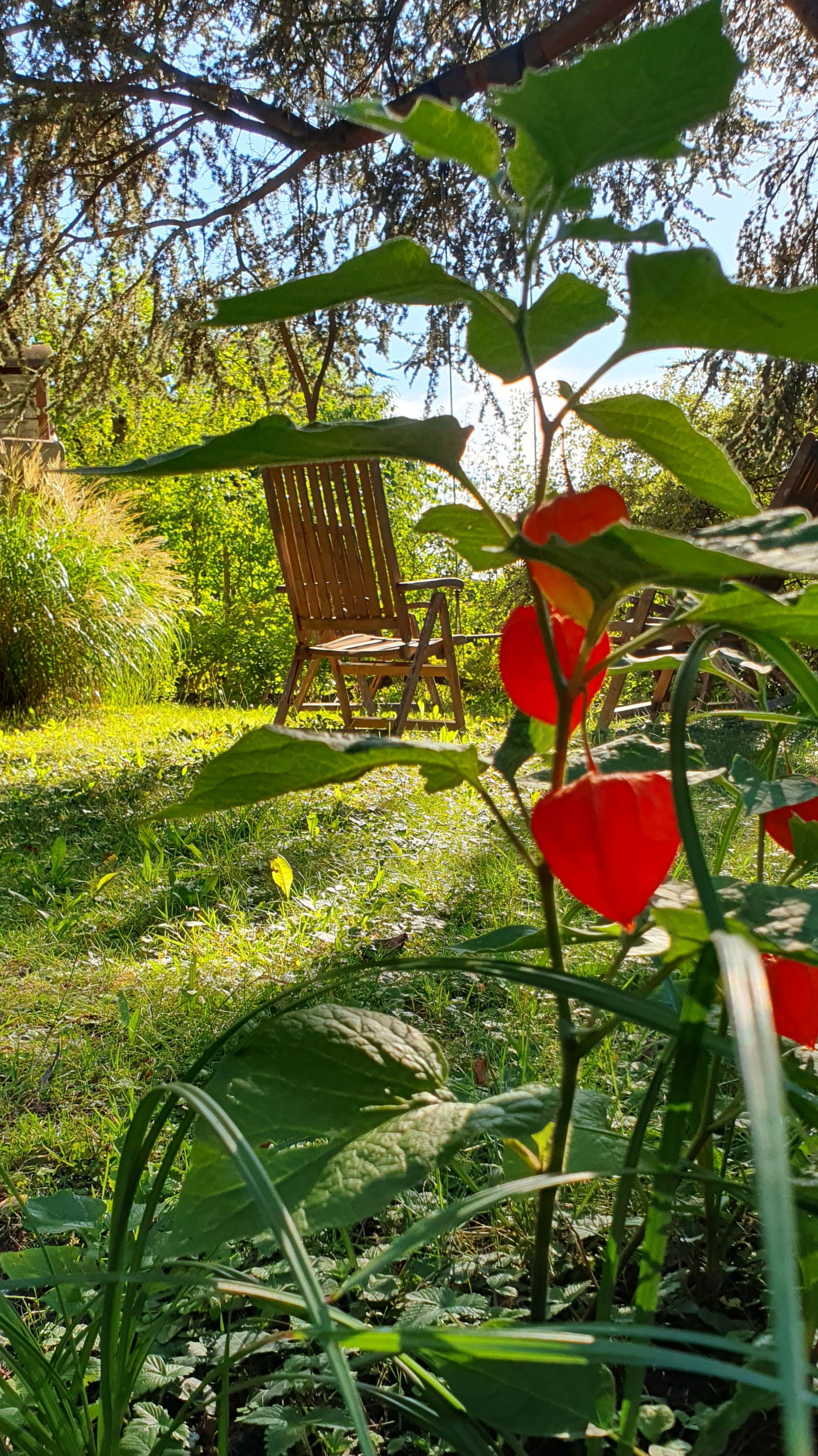 Homestay Cheyres-Châbles 582640