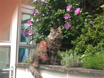 Chambre Chez L'habitant Lowdham 206028-4