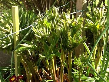 Chambre Chez L'habitant Lowdham 206028-6