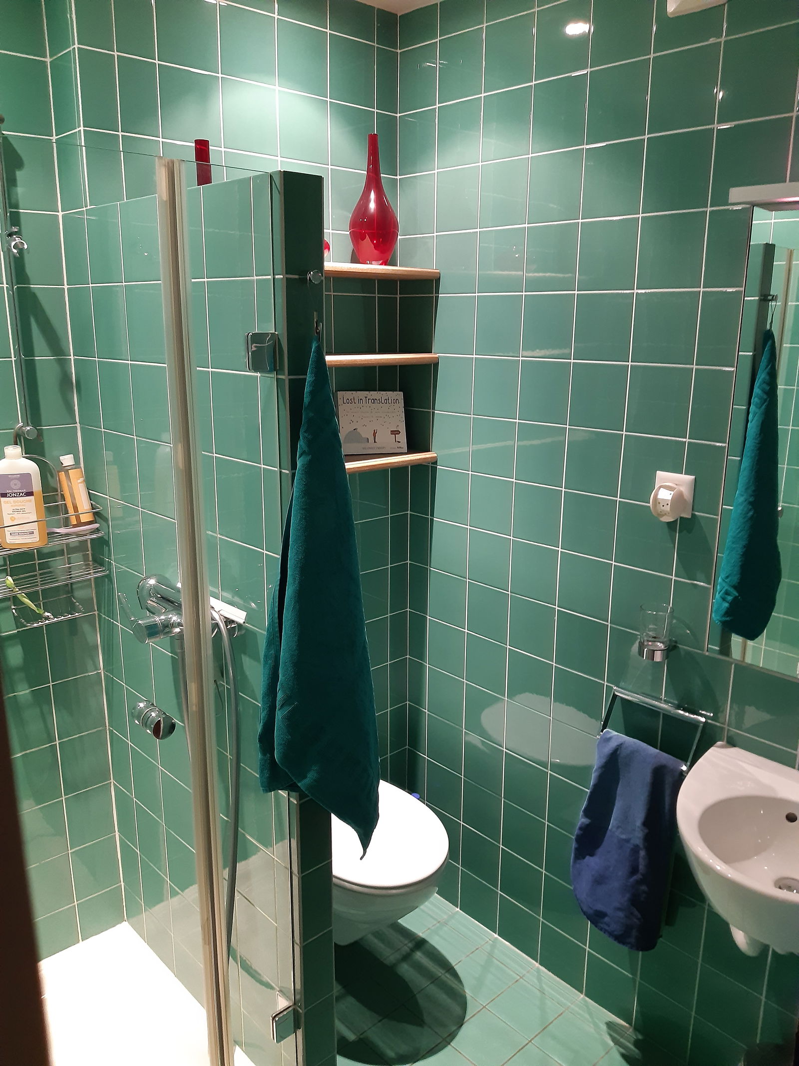 Homestay Genève 242027