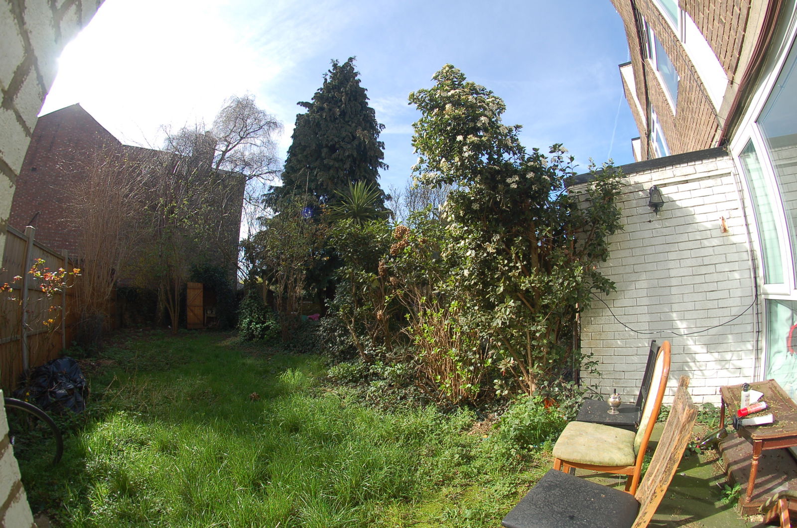 Homestay England 175803