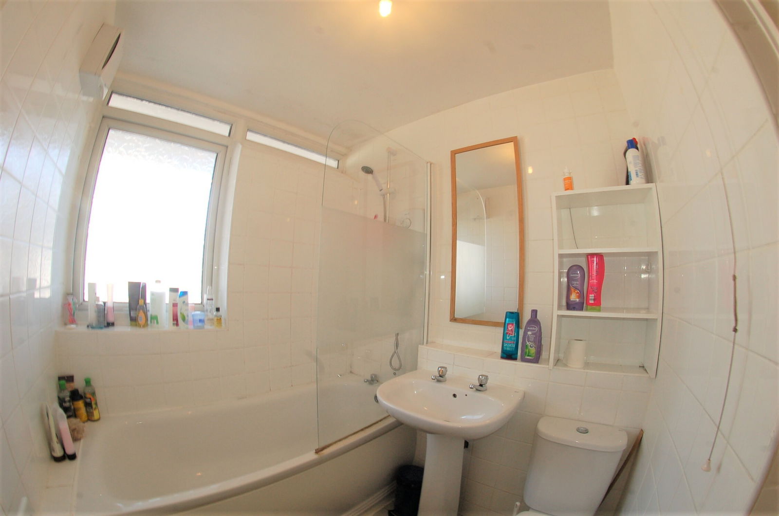 Homestay England 175803