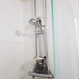 Zakwaterowanie U Rodziny Lowestoft 646515