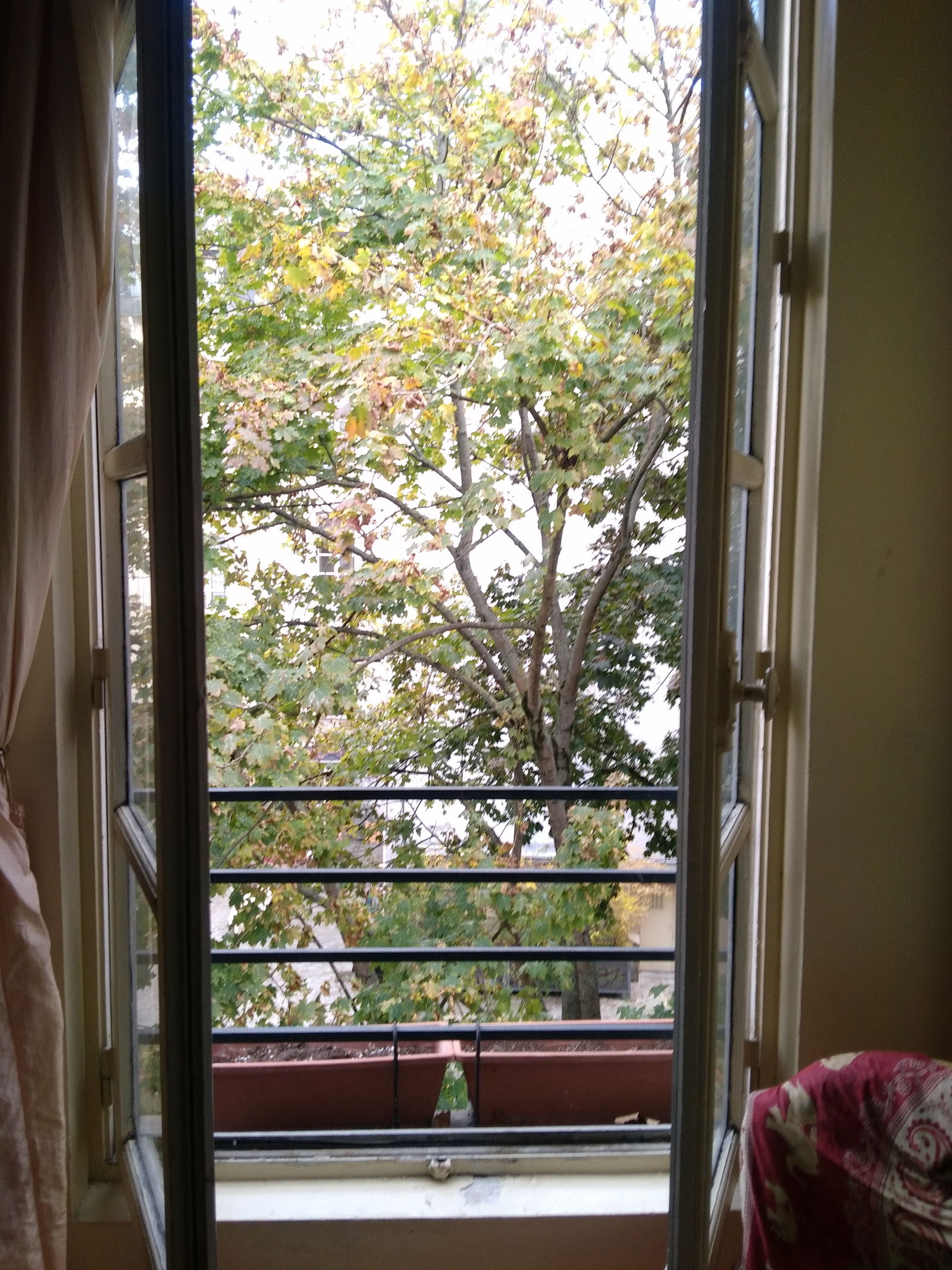 Homestay Paris 185679