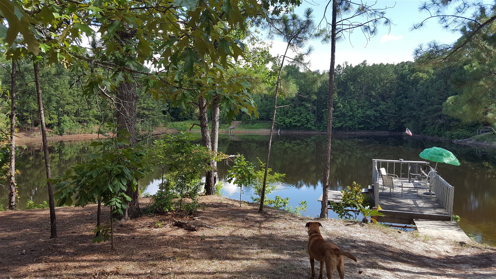 Chambre Chez L'habitant Fort Valley 149072