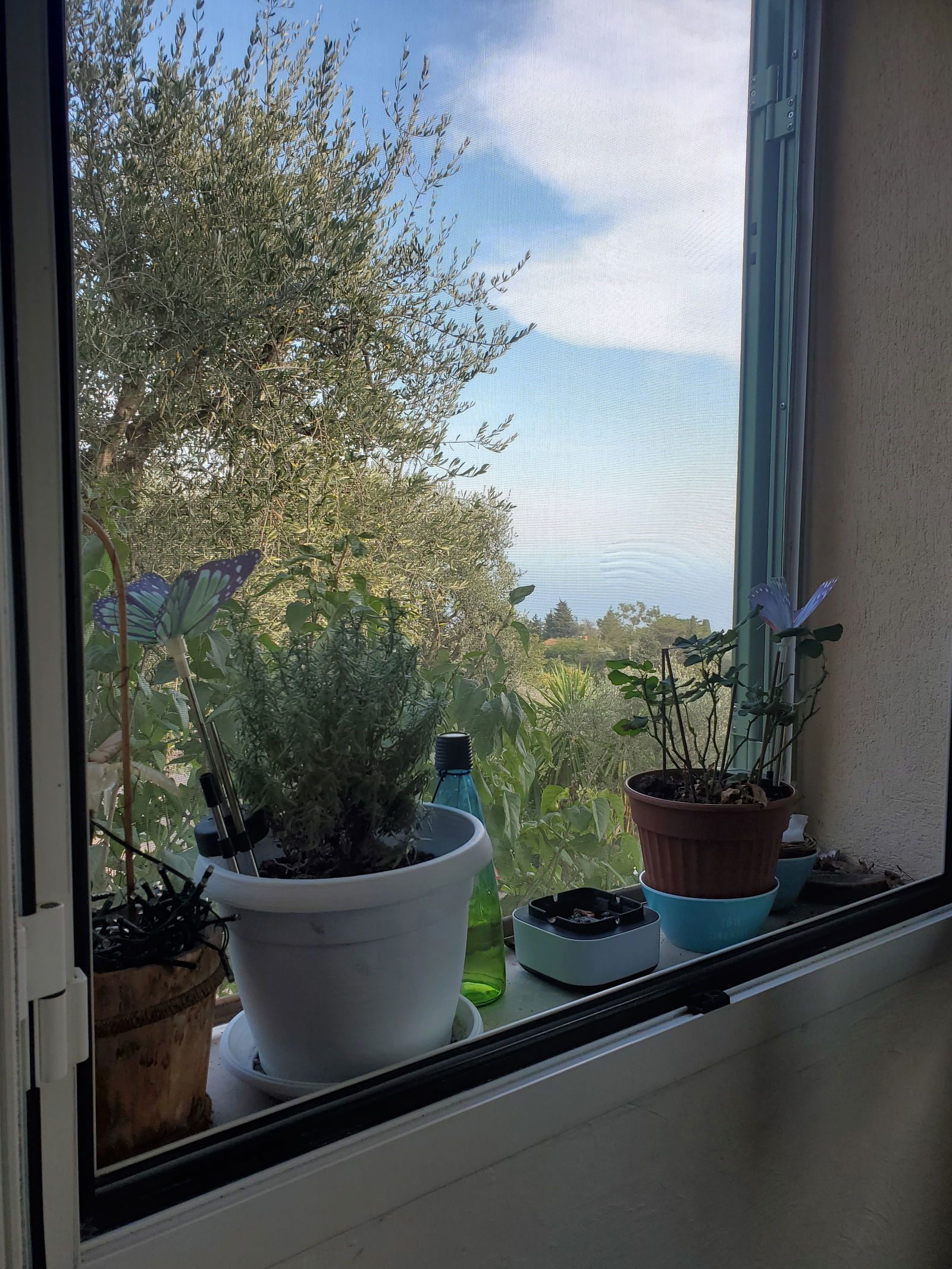 Homestay Èze 479325