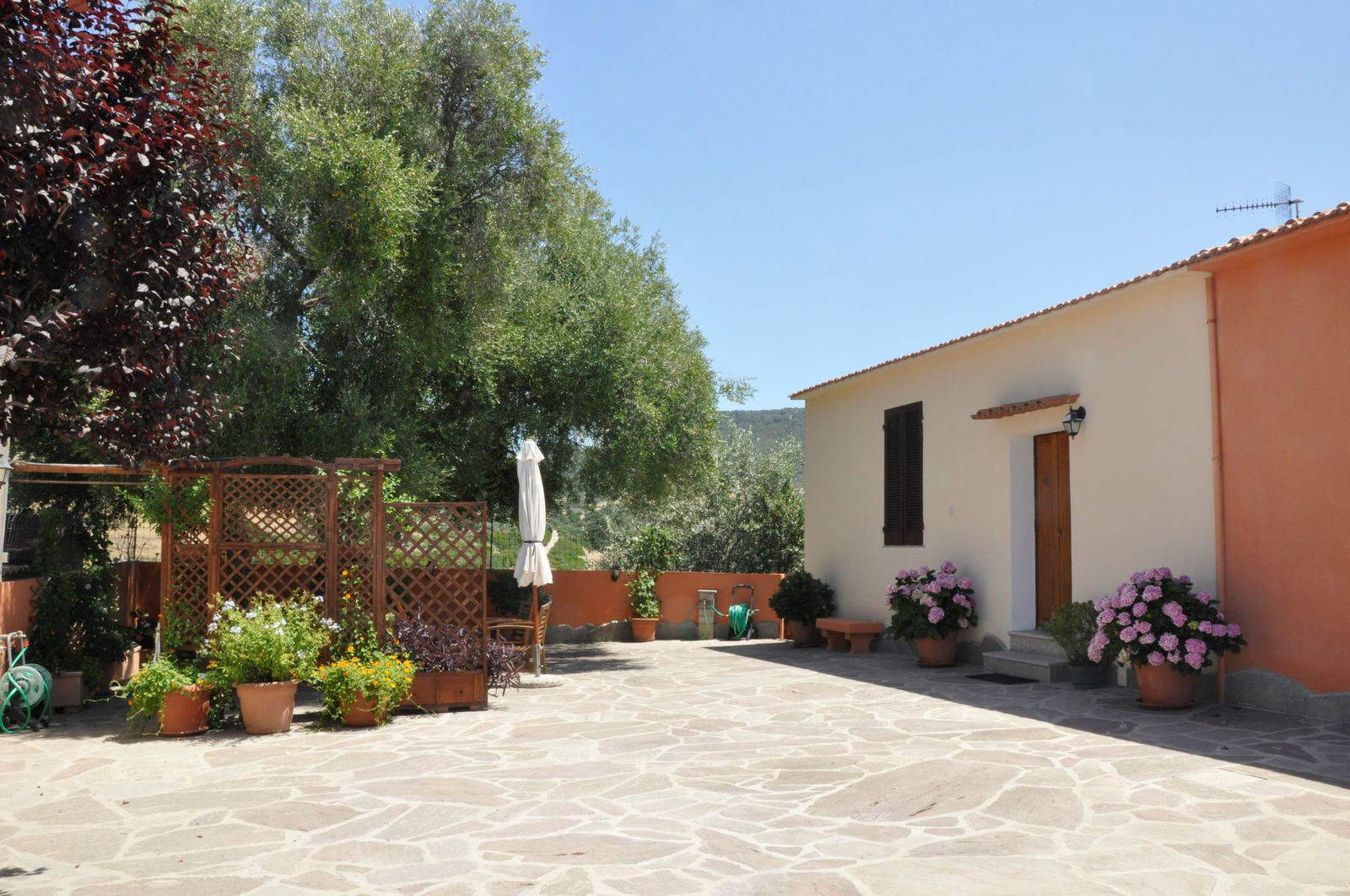 Oberoende Studio Lu Bagnu 352674