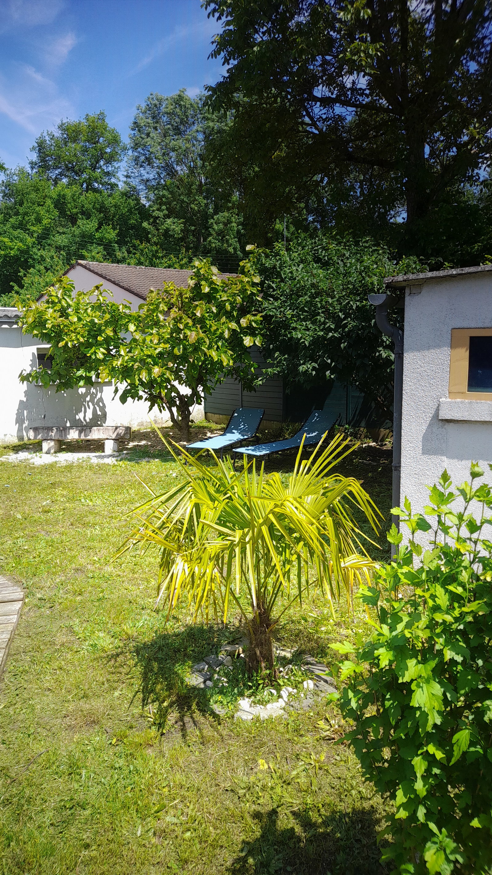 Homestay Boigny-sur-Bionne 384763