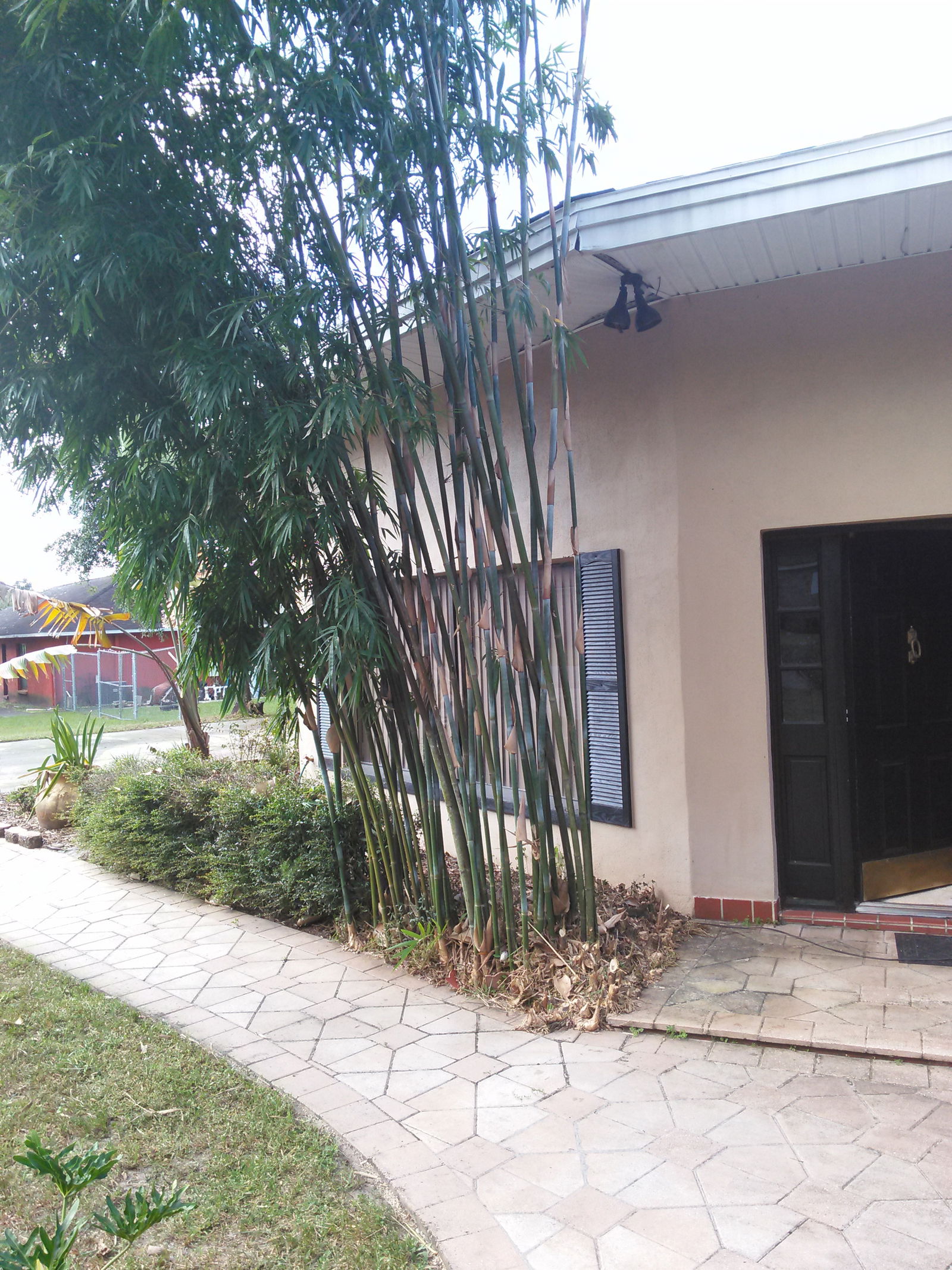 Hospedagem Em Casa De Família Seffner 117047