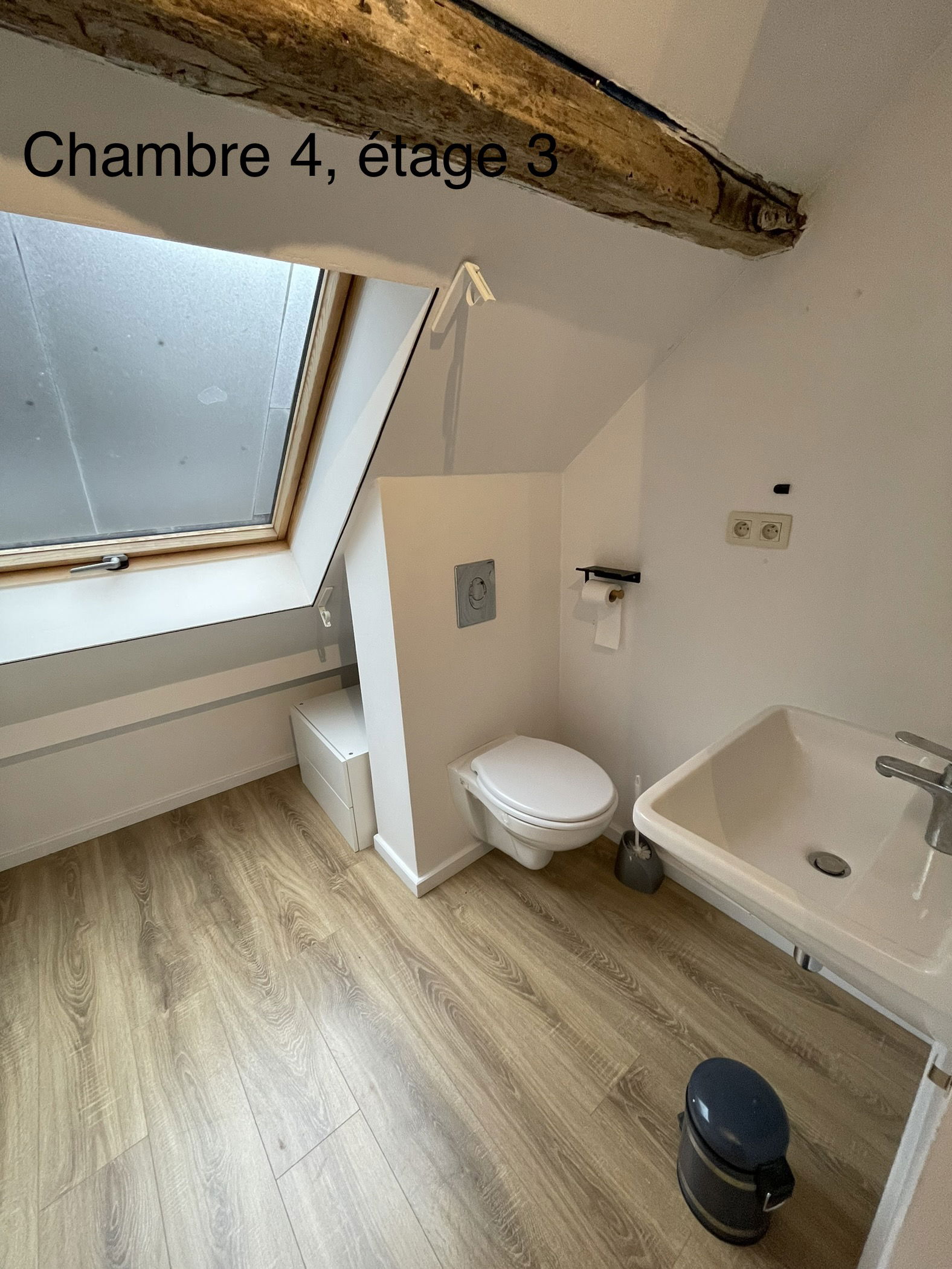 Kolokasie Liège 388231