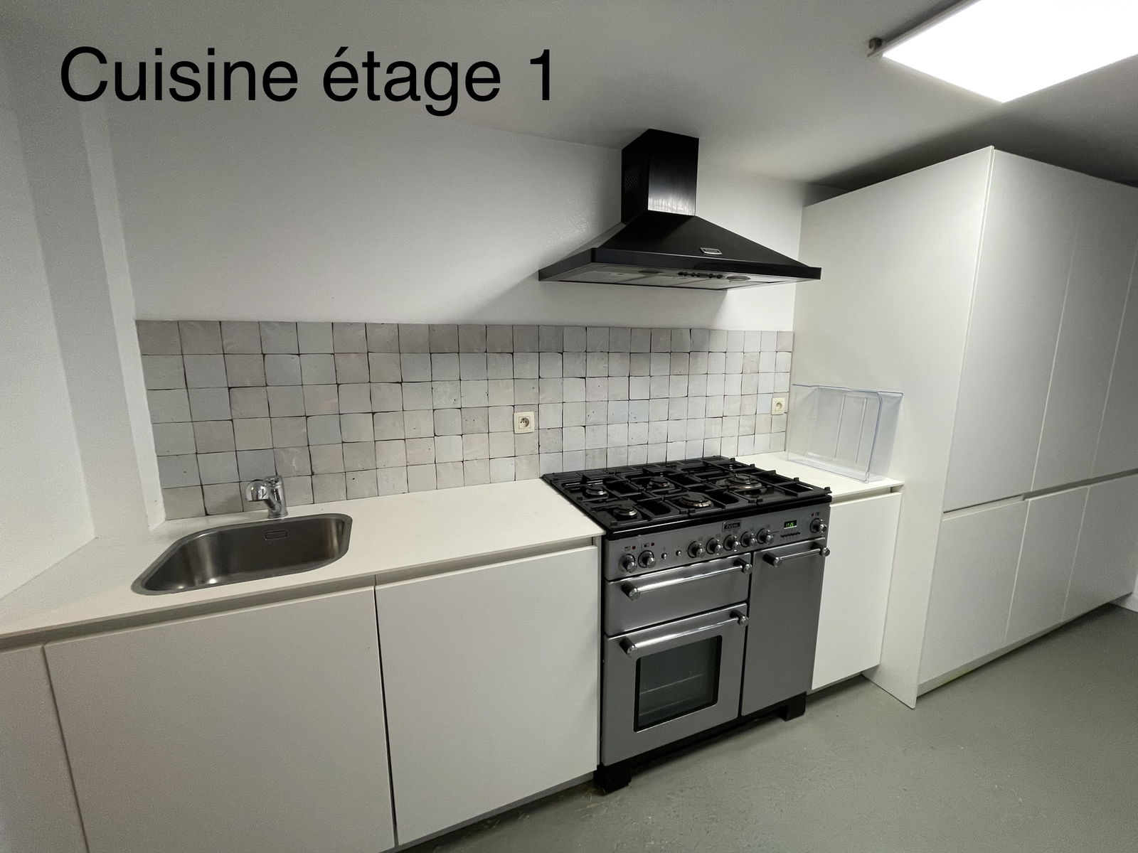 Kolokasie Liège 388231