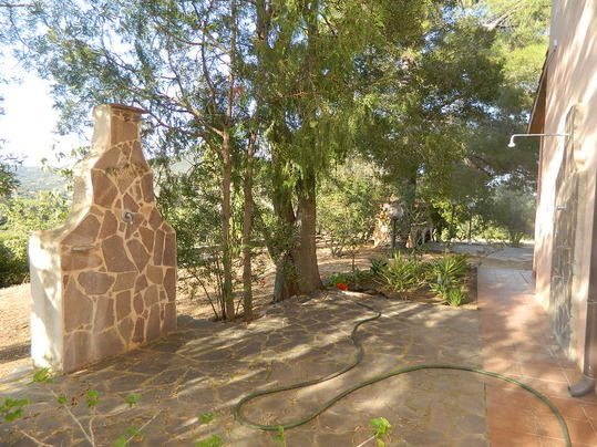 Estudio Independiente Cardedu 158477