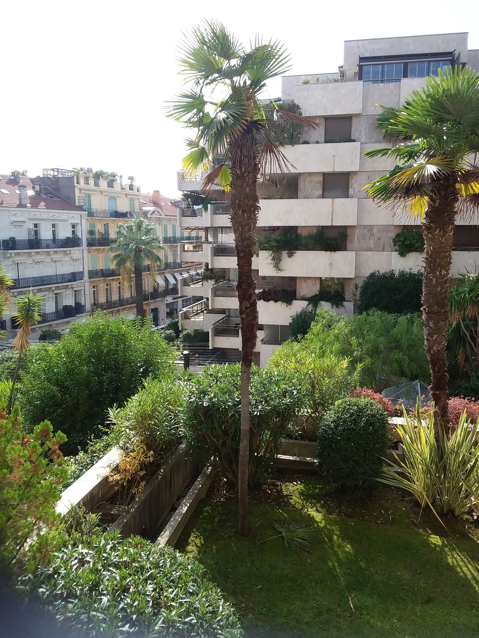 Estudio Independiente Cannes 40953