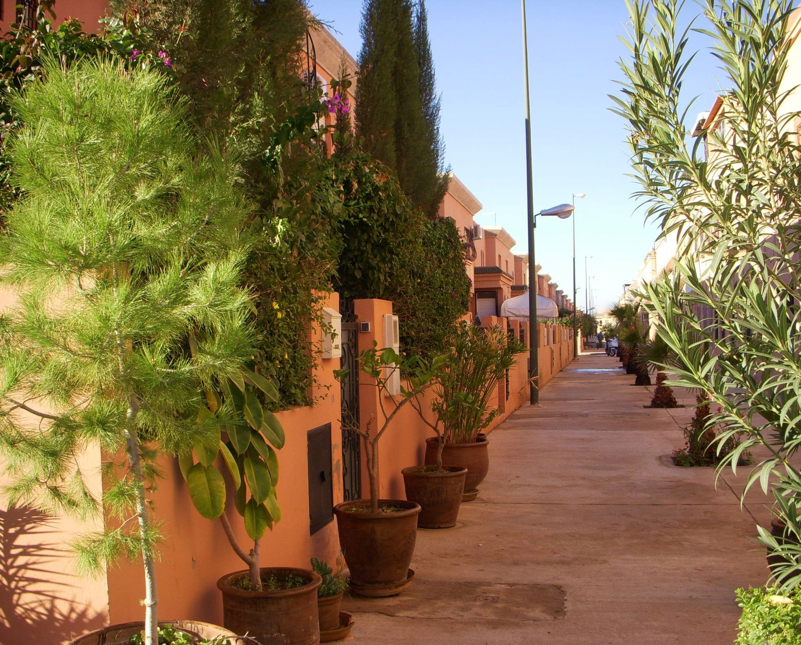 Uafhængigt Studie Marrakech 84958