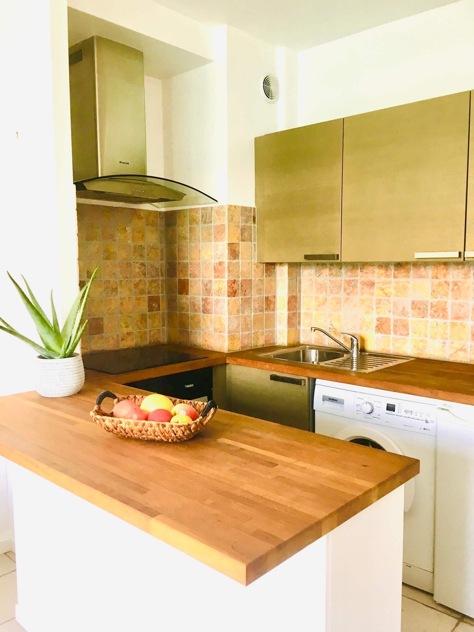 Studio Indépendant Antibes 208778