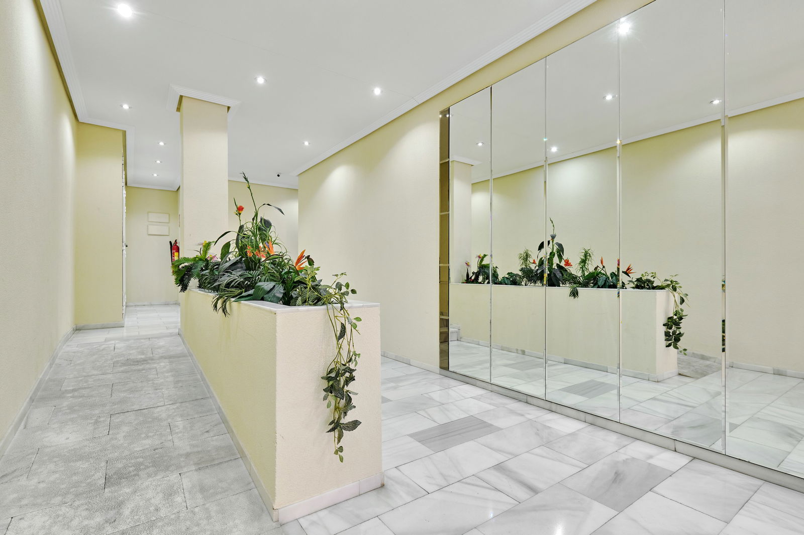 Itsenäinen Studio Torrevieja 325836