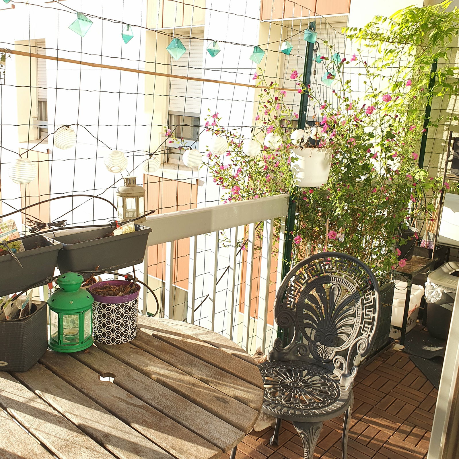 Famiglia Paris 196990