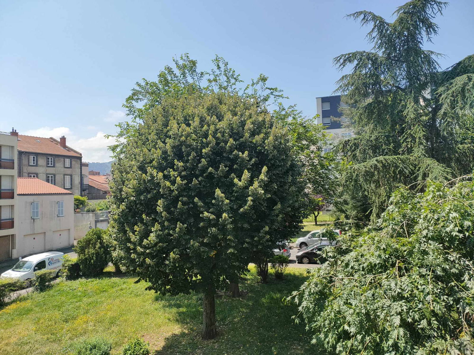 Collocazione Beaumont 657377