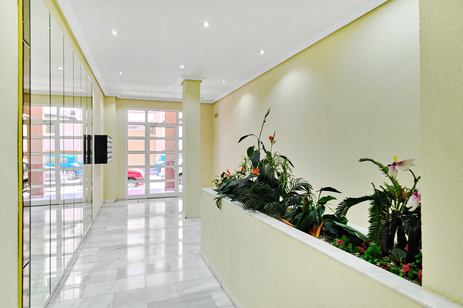 Estudio Independiente Torrevieja 325847