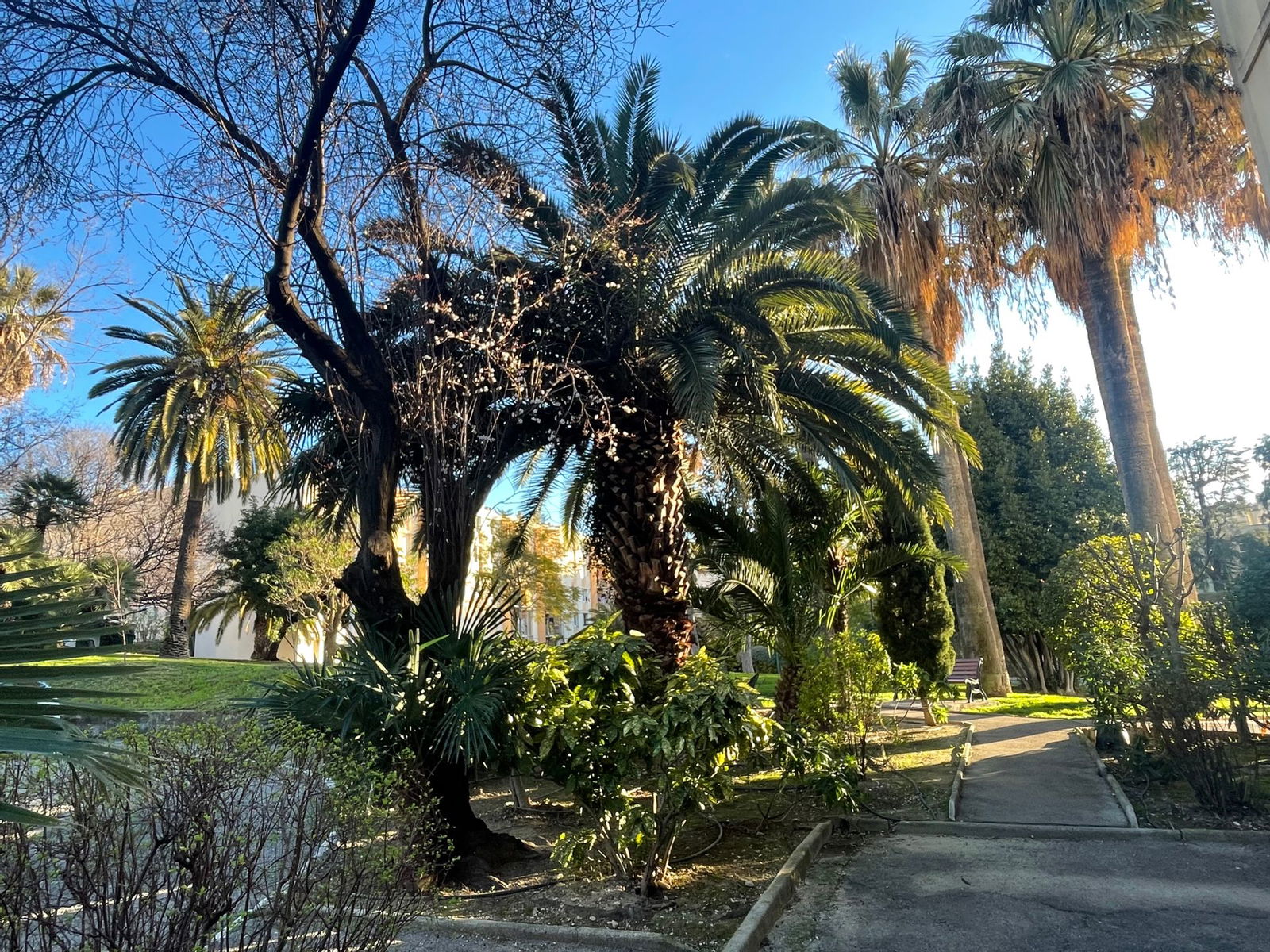 Tutta La Casa Nice 589098