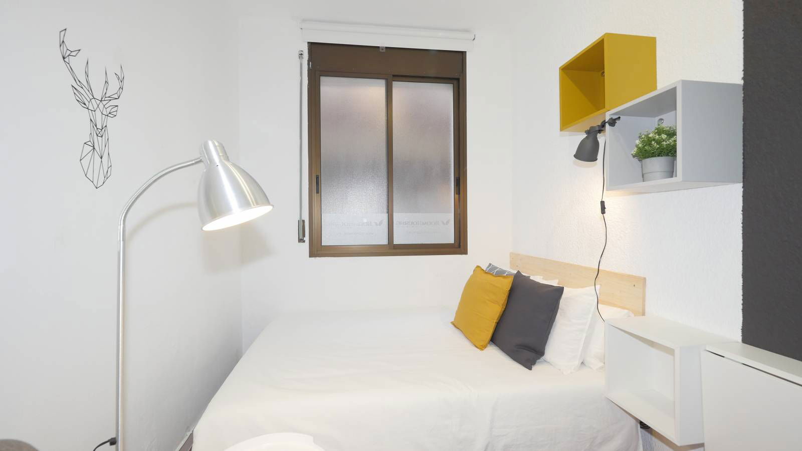 Homestay Barcelona 230632