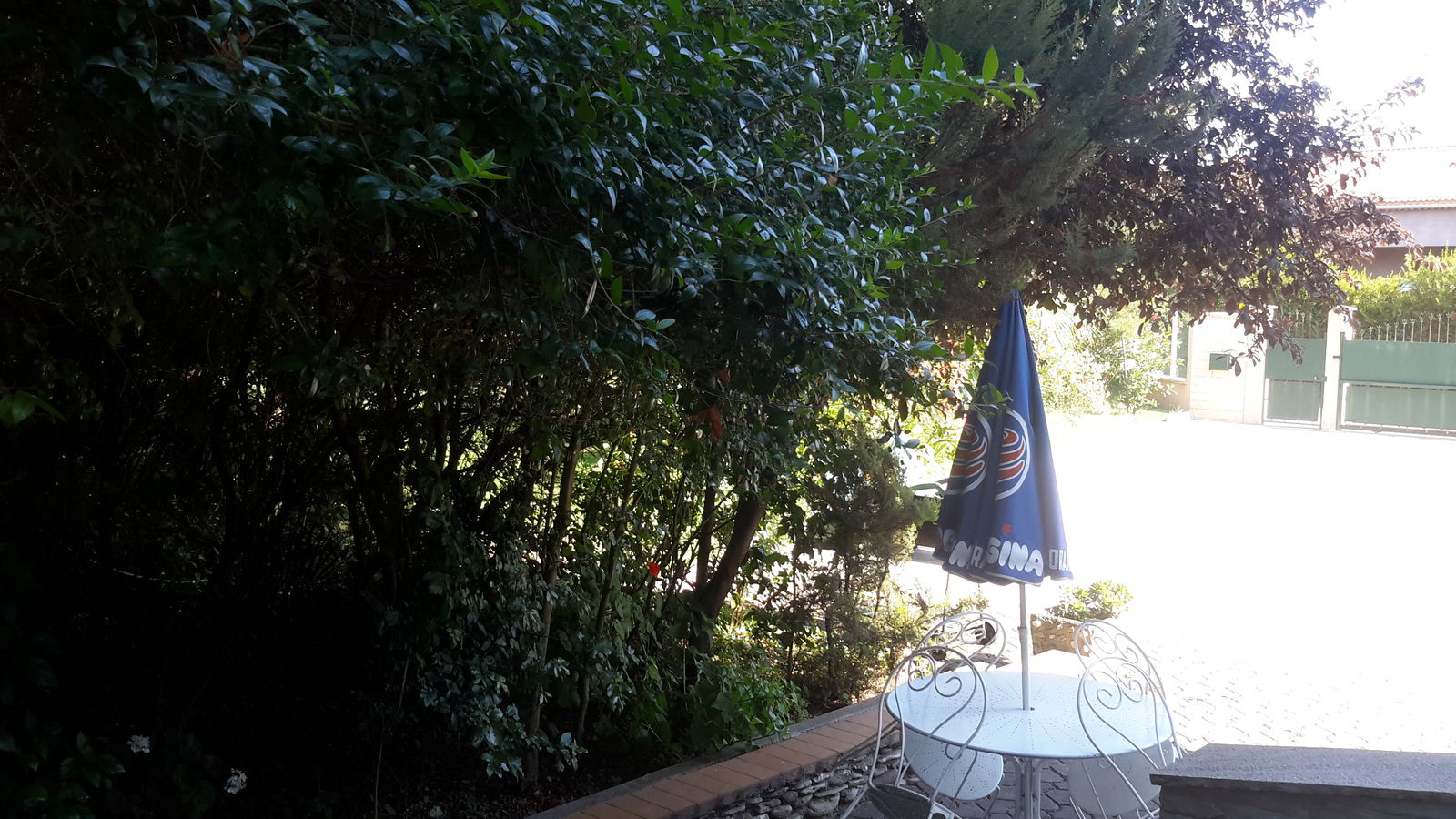 Tutta La Casa Santa-Lucia-di-Moriani 154743