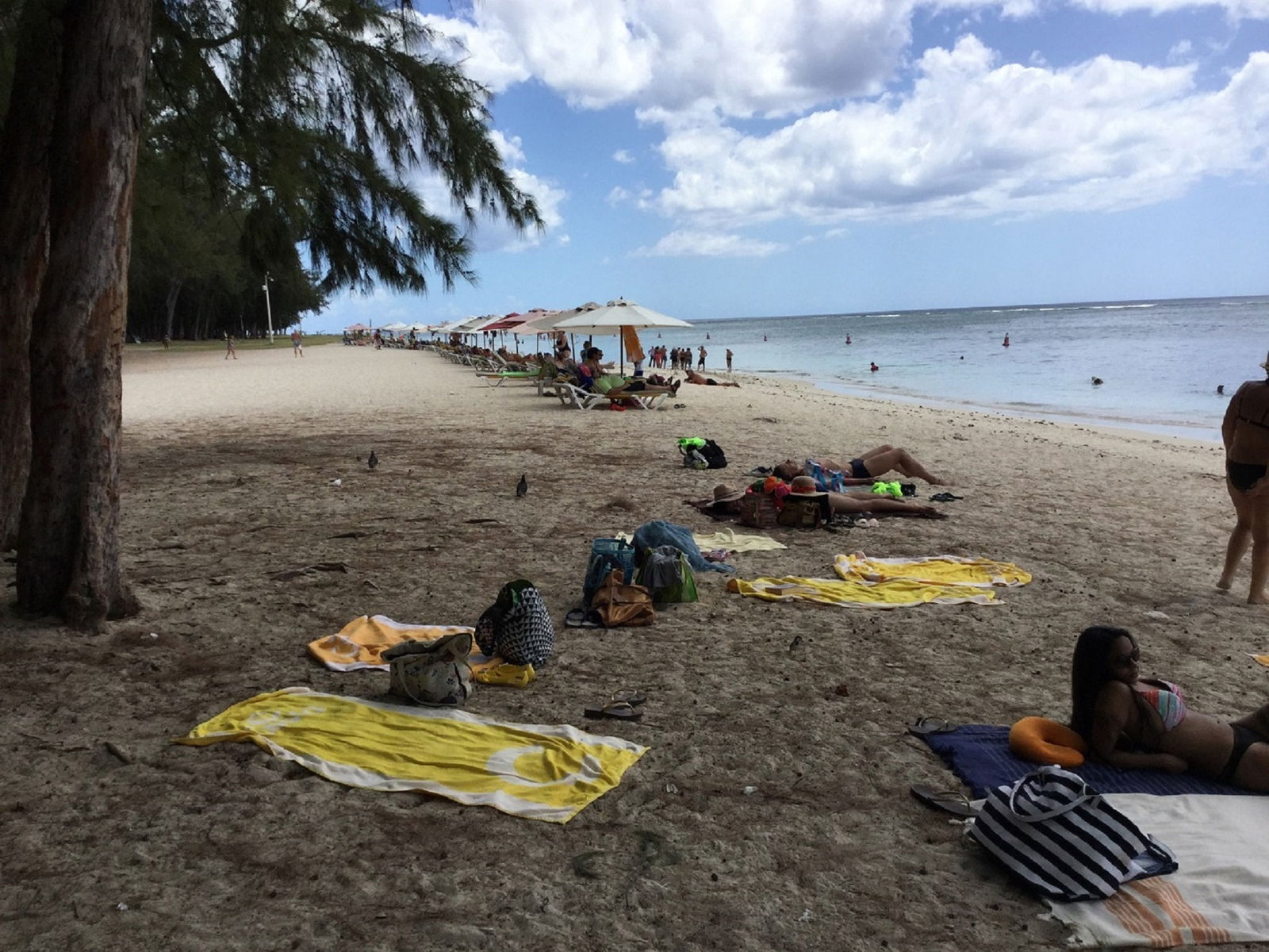 Tutta La Casa Flic en Flac 177132