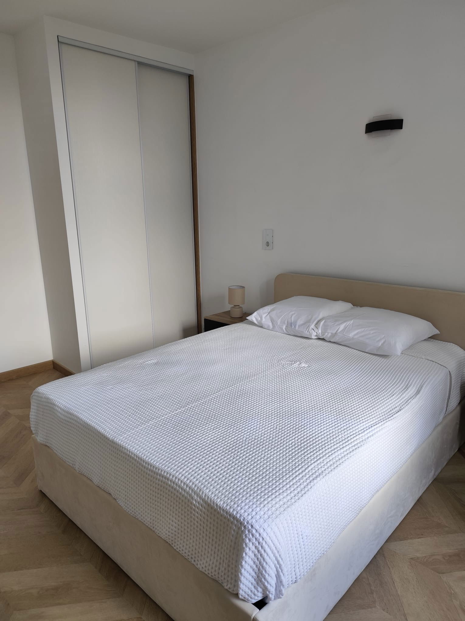 Kolokasie Nantes 618097