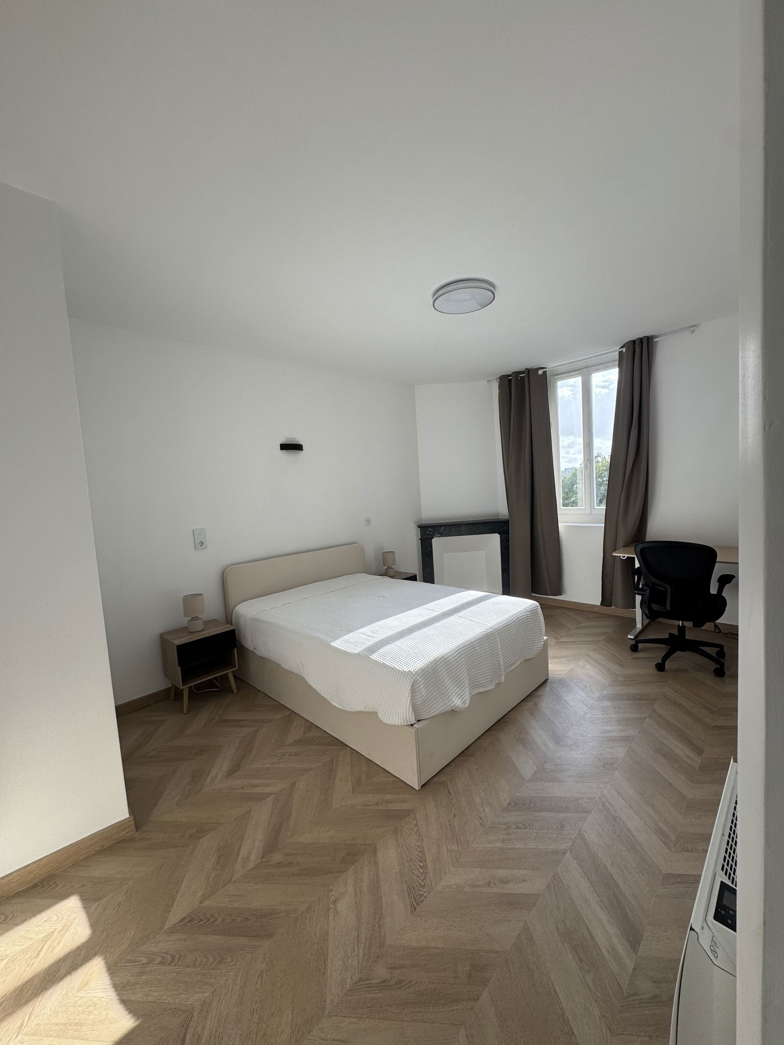 Kolokasie Nantes 618097