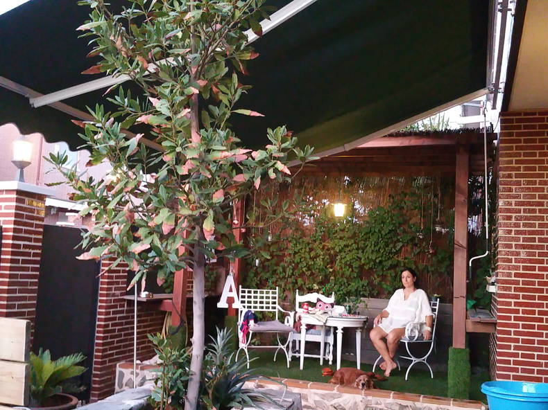 Hemvistelse Loeches 264706-4