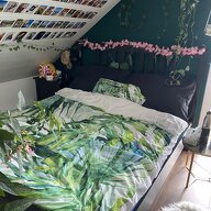 Colocatie Yverdon-les-Bains 417043