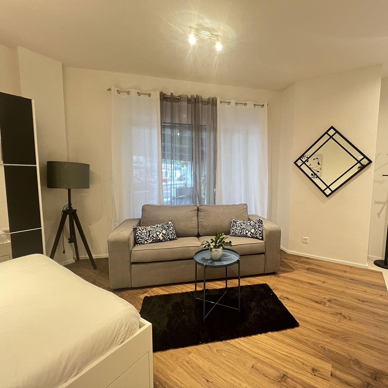 Gehele Woning Lausanne 658686