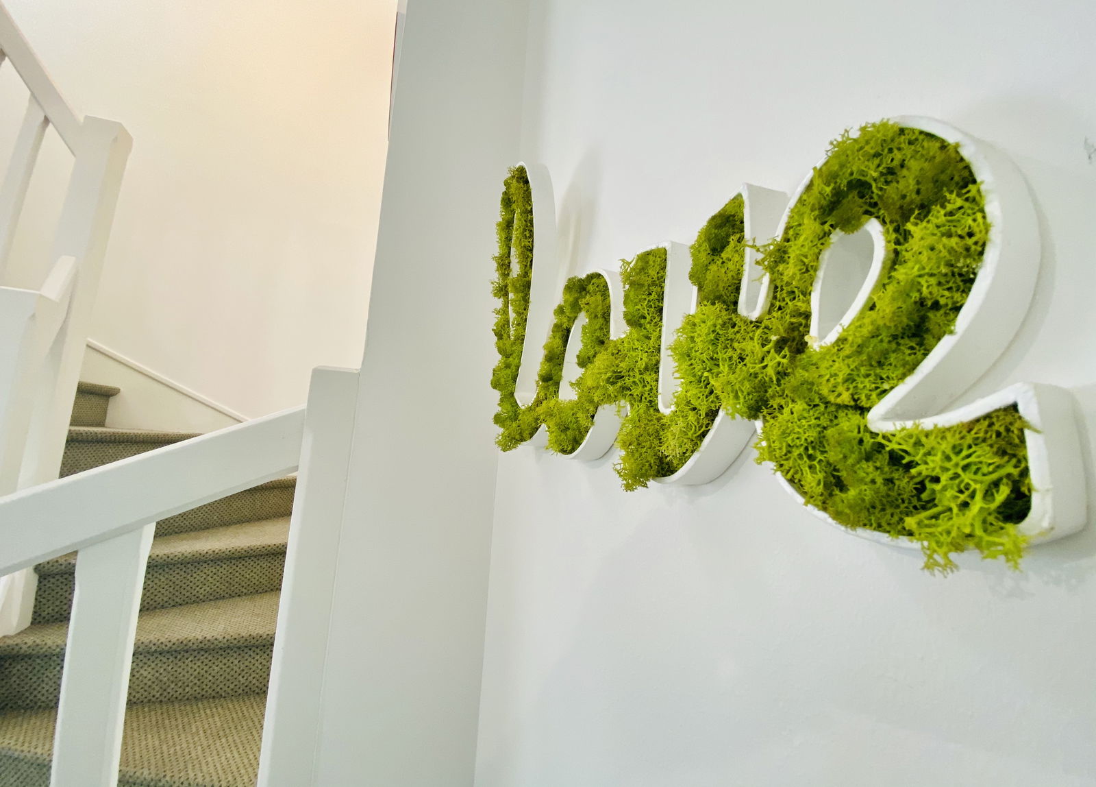 Colocatie Orléans 235207