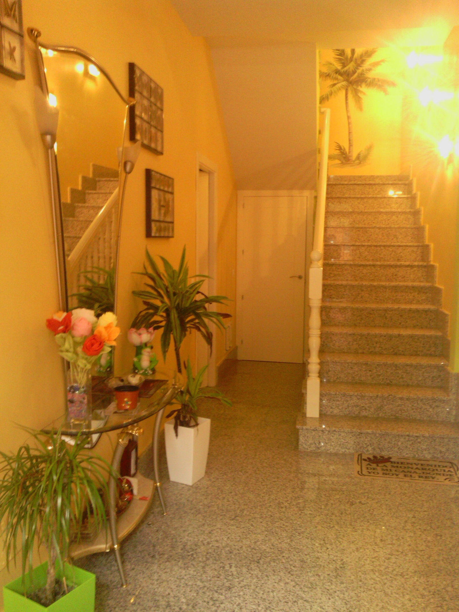 Unabhängiges Studio Daimiel 92041